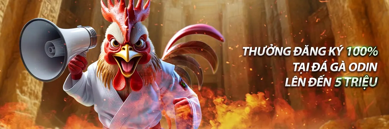 Hình ảnh minh họa tối ưu hóa trải nghiệm đăng nhập 888no