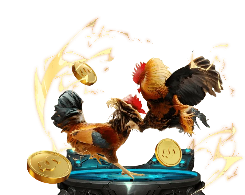 Cá cược thể thao trực tuyến với các trận đấu hấp dẫn